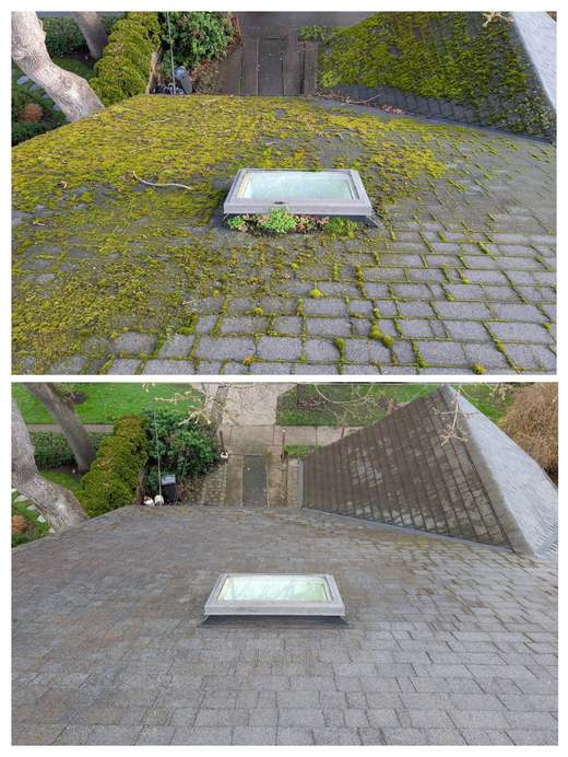 Roof before and after moss removal