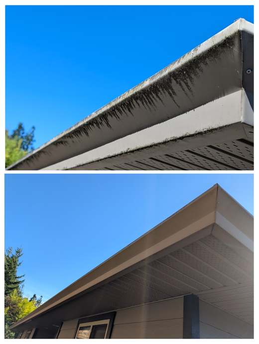 Gutter and fascia before and after cleaning