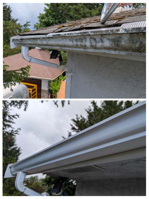 Gutter before and after moss removal