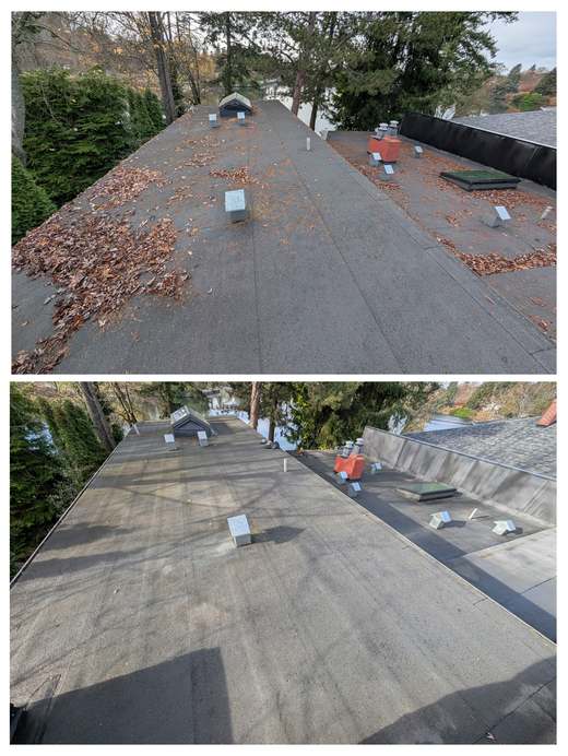 Flat roof before and after being cleared of leaves