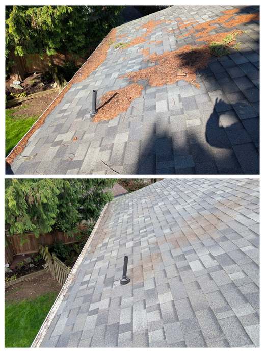 Roof before and after debris removal