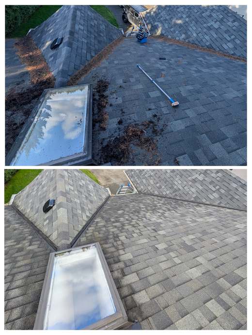 Roof and skylight before and after cleaning