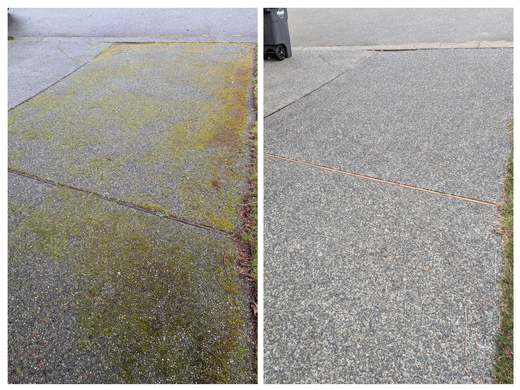 Concrete driveway before and after moss removal