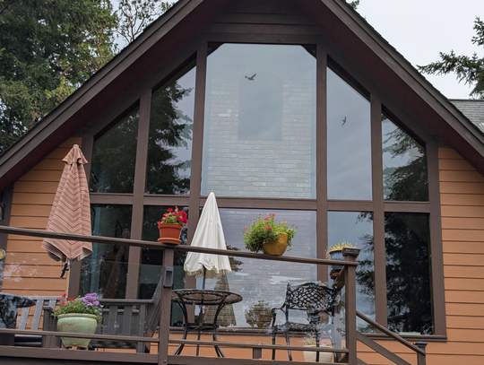 Exterior A-frame glass wall after cleaning