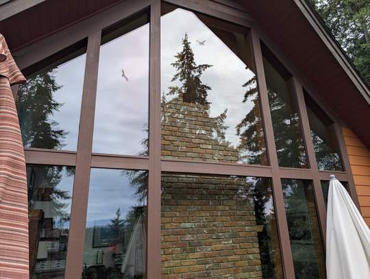 Exterior A-frame glass reflecting the chimney and trees after cleaning